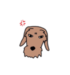 名犬アニー（個別スタンプ：33）