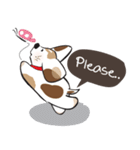 Chubby Sassy（個別スタンプ：1）