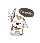 Chubby Sassy（個別スタンプ：7）