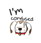 Chubby Sassy（個別スタンプ：15）
