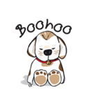Chubby Sassy（個別スタンプ：23）