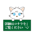 白猫のプチ丁寧に「ですます調」（個別スタンプ：35）