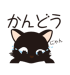 くろねこのにゃん語だにゃん（個別スタンプ：11）