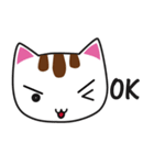 しろちゃん 白猫（個別スタンプ：2）