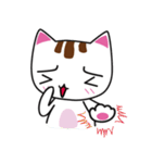 しろちゃん 白猫（個別スタンプ：7）