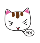 しろちゃん 白猫（個別スタンプ：9）