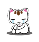 しろちゃん 白猫（個別スタンプ：11）