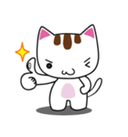 しろちゃん 白猫（個別スタンプ：12）