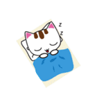 しろちゃん 白猫（個別スタンプ：15）