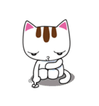 しろちゃん 白猫（個別スタンプ：16）