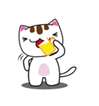 しろちゃん 白猫（個別スタンプ：17）