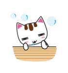 しろちゃん 白猫（個別スタンプ：18）