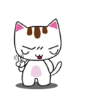 しろちゃん 白猫（個別スタンプ：20）
