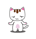 しろちゃん 白猫（個別スタンプ：21）