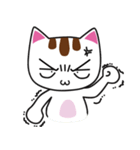 しろちゃん 白猫（個別スタンプ：22）