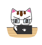 しろちゃん 白猫（個別スタンプ：23）