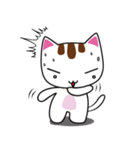 しろちゃん 白猫（個別スタンプ：24）
