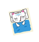 しろちゃん 白猫（個別スタンプ：25）