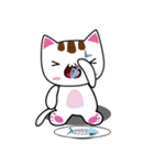 しろちゃん 白猫（個別スタンプ：26）