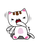 しろちゃん 白猫（個別スタンプ：28）