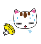 しろちゃん 白猫（個別スタンプ：29）