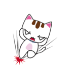 しろちゃん 白猫（個別スタンプ：35）