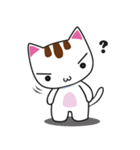 しろちゃん 白猫（個別スタンプ：37）