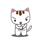 しろちゃん 白猫（個別スタンプ：38）