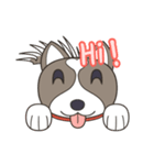 Tuayfoo Thai Bangkaew (English)（個別スタンプ：1）