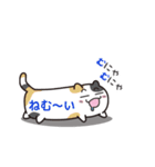 ねこカンバン（個別スタンプ：17）