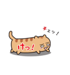 ねこカンバン（個別スタンプ：24）