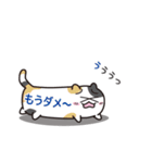 ねこカンバン（個別スタンプ：29）