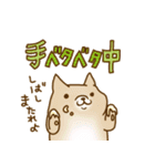 柴崎と飼い犬（個別スタンプ：9）