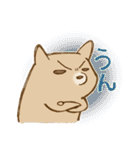 柴崎と飼い犬（個別スタンプ：12）