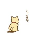 柴崎と飼い犬（個別スタンプ：34）