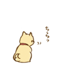 柴崎と飼い犬（個別スタンプ：35）