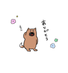 ゆるくて可愛いくまいぬ（個別スタンプ：30）