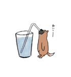 ゆるくて可愛いくまいぬ（個別スタンプ：39）
