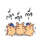 Tar Kun（個別スタンプ：38）