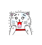 おかしな白猫（個別スタンプ：11）