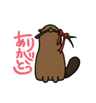 ツブラナドウブツ（個別スタンプ：3）