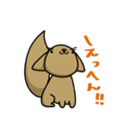 ツブラナドウブツ（個別スタンプ：10）