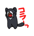 ツブラナドウブツ（個別スタンプ：11）