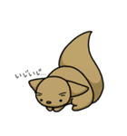 ツブラナドウブツ（個別スタンプ：15）