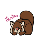 ツブラナドウブツ（個別スタンプ：19）