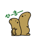 ツブラナドウブツ（個別スタンプ：25）