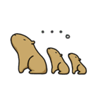 ツブラナドウブツ（個別スタンプ：27）