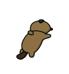 ツブラナドウブツ（個別スタンプ：30）