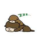 ツブラナドウブツ（個別スタンプ：31）