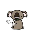 ツブラナドウブツ（個別スタンプ：33）